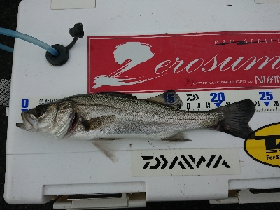 大小堪能できました