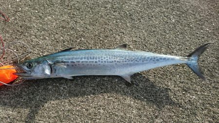 仕事が急に休み！