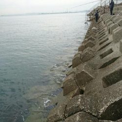 今日もお休みーだっ