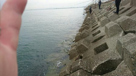 今日もお休みーだっ