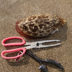 コウイカマンション2号館