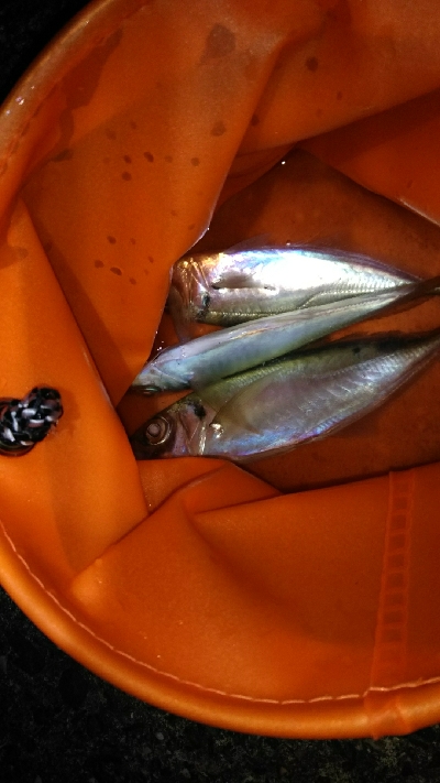 深い所での当たり