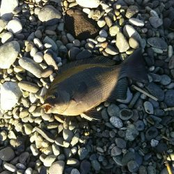 照ヶ崎で渚釣り