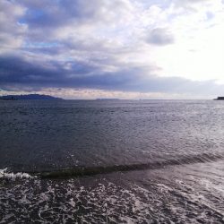 ダイソーメタルジグでソゲゲット