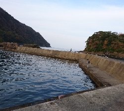 師走ですが天気も