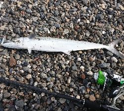 花海道サーフにて