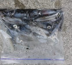 寒さにも負けず