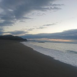 仁淀川河口サーフショアジギング