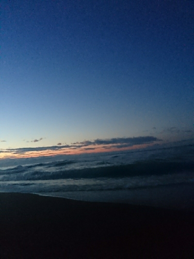 仁淀川河口ライトショアジギング