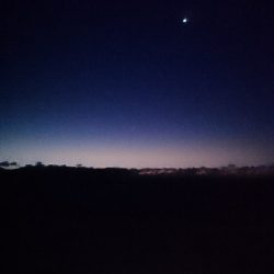 仁淀川河口サーフショアジギング