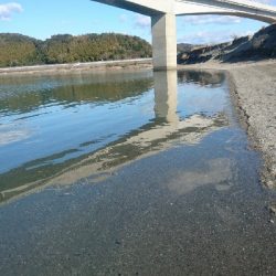 仁淀川河口サーフショアジギング