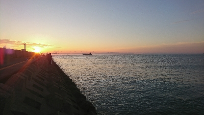 だんだん渋くなってきたようです