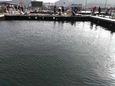 これが今年最後の海上釣堀