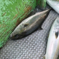 孝洋丸 落とし込み