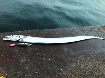 ゲッターでゲッツ!