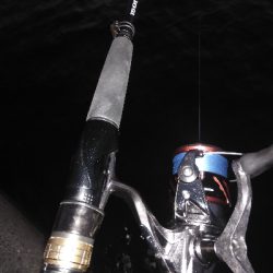 タチウオ終盤戦