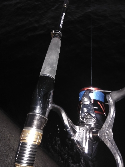 タチウオ終盤戦