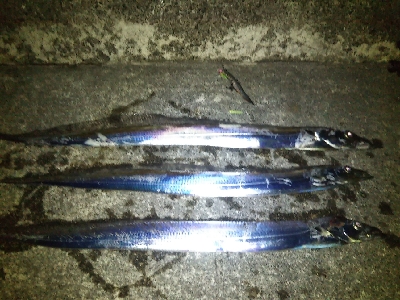 活性は高くない