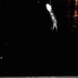 太刀魚ゲッターデビュー@南港