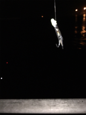 太刀魚ゲッターデビュー@南港