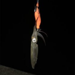 ヒイカ釣り初の1091モード＼(^^)／