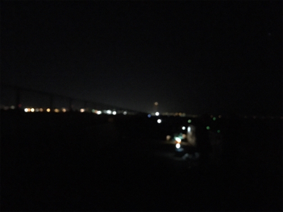 アジのノマセでアコウ