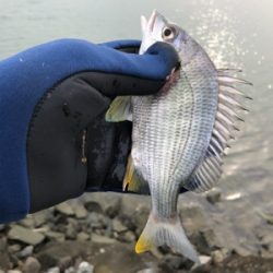 年無しまであと少し