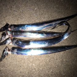 今宵もタッチーデート(^^)