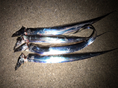 今宵もタッチーデート(^^)