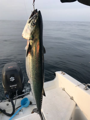 高波の中ジギング釣行