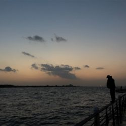 チヌ、キビレがぽつぽつ