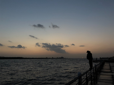 チヌ、キビレがぽつぽつ