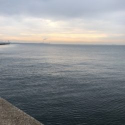 リベンジ タチウオ！