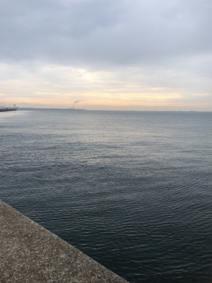 リベンジ タチウオ！