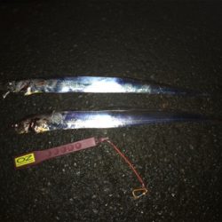 これから寂しくなりそう。