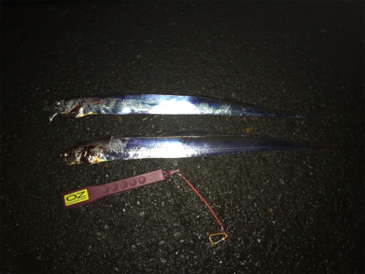 これから寂しくなりそう。