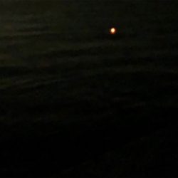 今宵はご機嫌斜め？