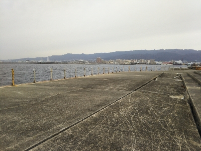 エサ用のアジ？