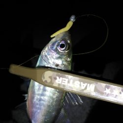 ガシラッシュからの