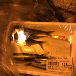 キタ〜っ❗️舞洲でF5❗️