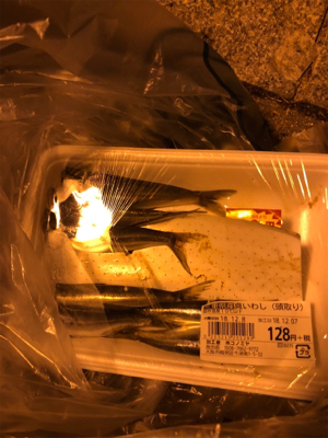 キタ〜っ❗️舞洲でF5❗️