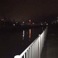夜釣りでコチ