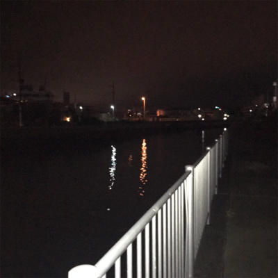 夜釣りでコチ