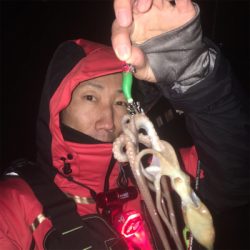 ヒイカ極寒ゲーム