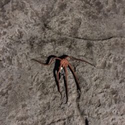 なんとか、、、