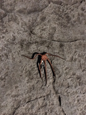 なんとか、、、