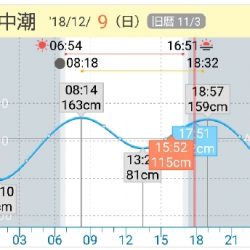 今日もダイソージグで