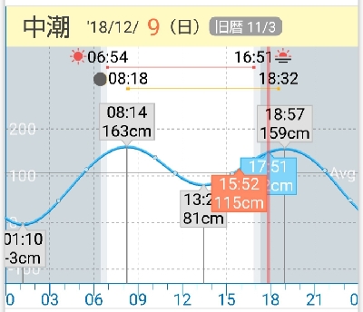 今日もダイソージグで