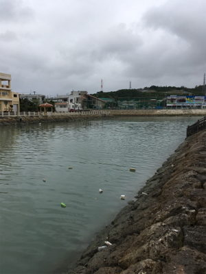 ミーバイ(ハタ)釣り