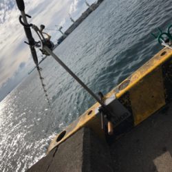 さすらいの釣り人とコラボ釣行